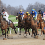 ブックメーカー競馬サイト - 競馬ブックメーカーの仕組みを紹介