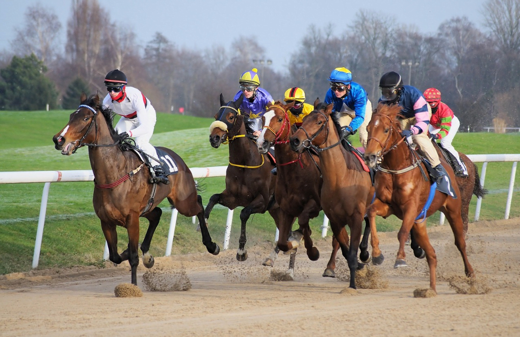 ブックメーカー競馬サイト - 競馬ブックメーカーの仕組みを紹介