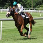 初心者のための競馬完全ガイド!オッズと馬券の種類