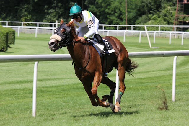 初心者のための競馬完全ガイド!オッズと馬券の種類
