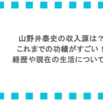 山野井泰史の収入源は?これまでの功績がすごい!経歴や現在の生活についても